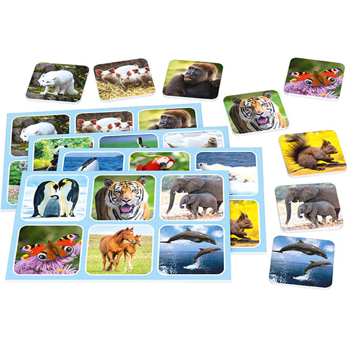 Sällskapsspel Schmidt Spiele Zoo Lotto djur - 2