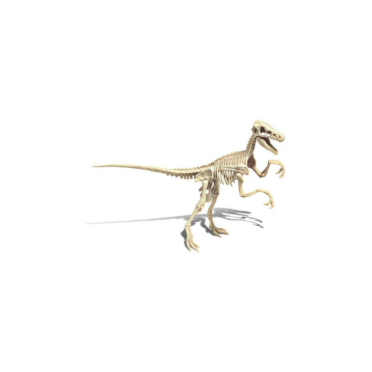 Dinosaurie Clementoni Archéo Ludic Vélociraptor - 2