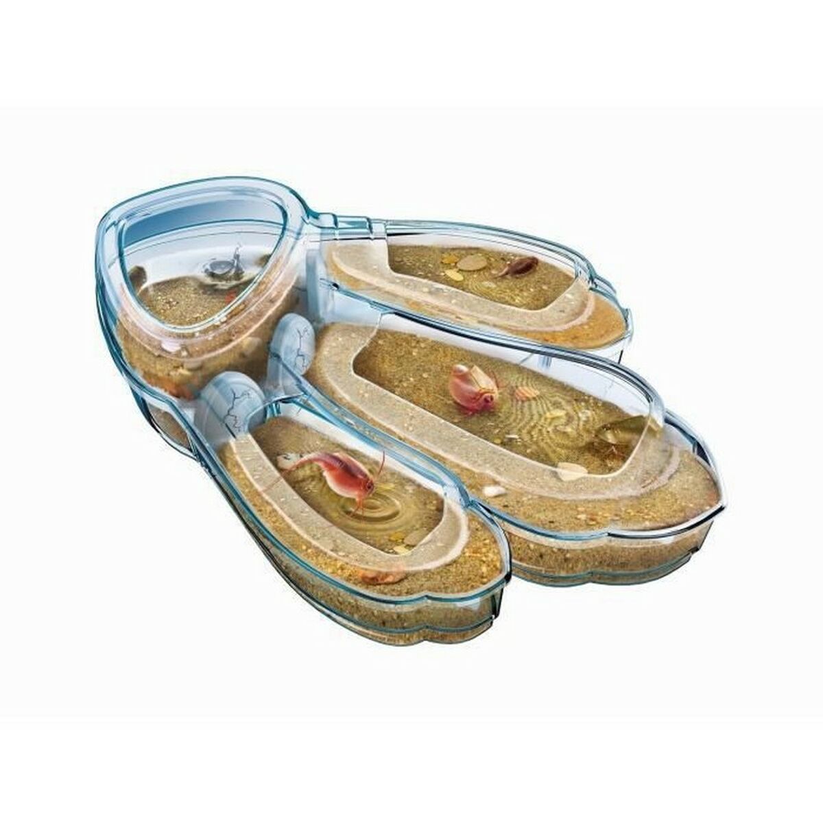 Vetenskapsspel Clementoni Triops Les animaux préhistoriques FR - 2