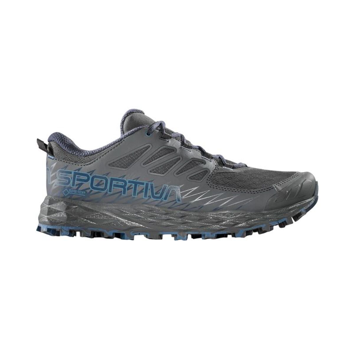 Herr trail löparskor (bergslöpning) La Sportiva Lycan GTX Carbon Mörkgrå