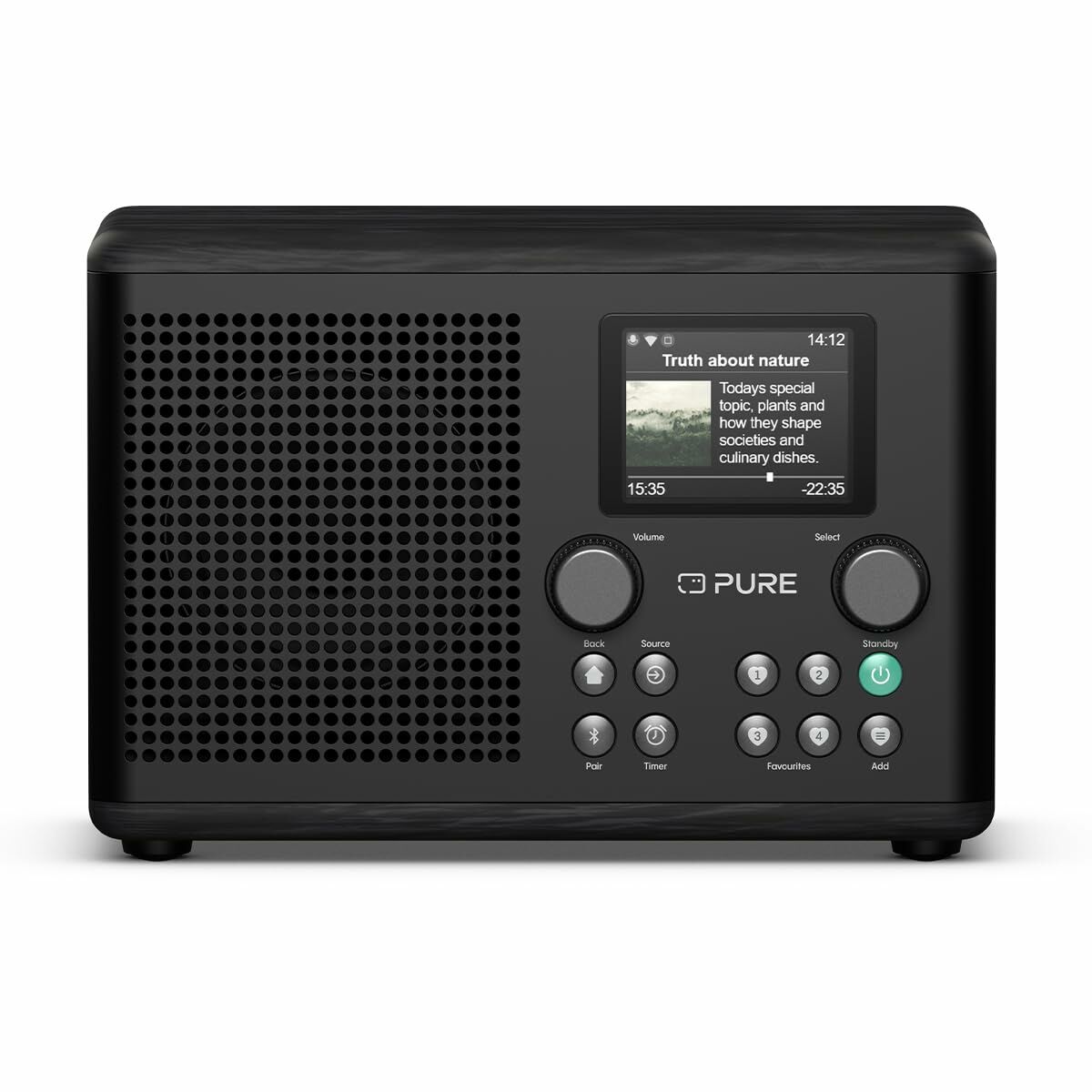 Transistorradio Pure PURE CLASSIC H4I
