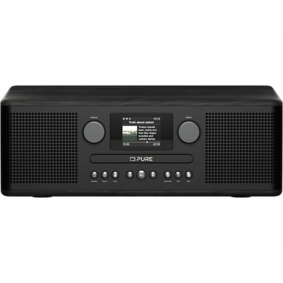 Transistorradio Pure CLASSIC A-D6I Svart FM Retro