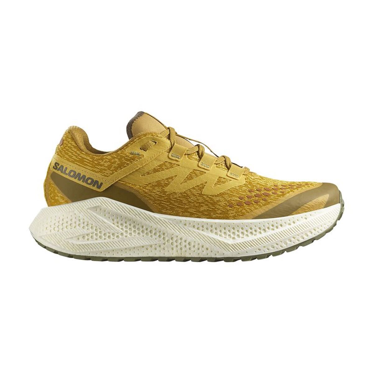 Löparskor, Vuxna Salomon Aero Glide 3 Grvl Gyllene