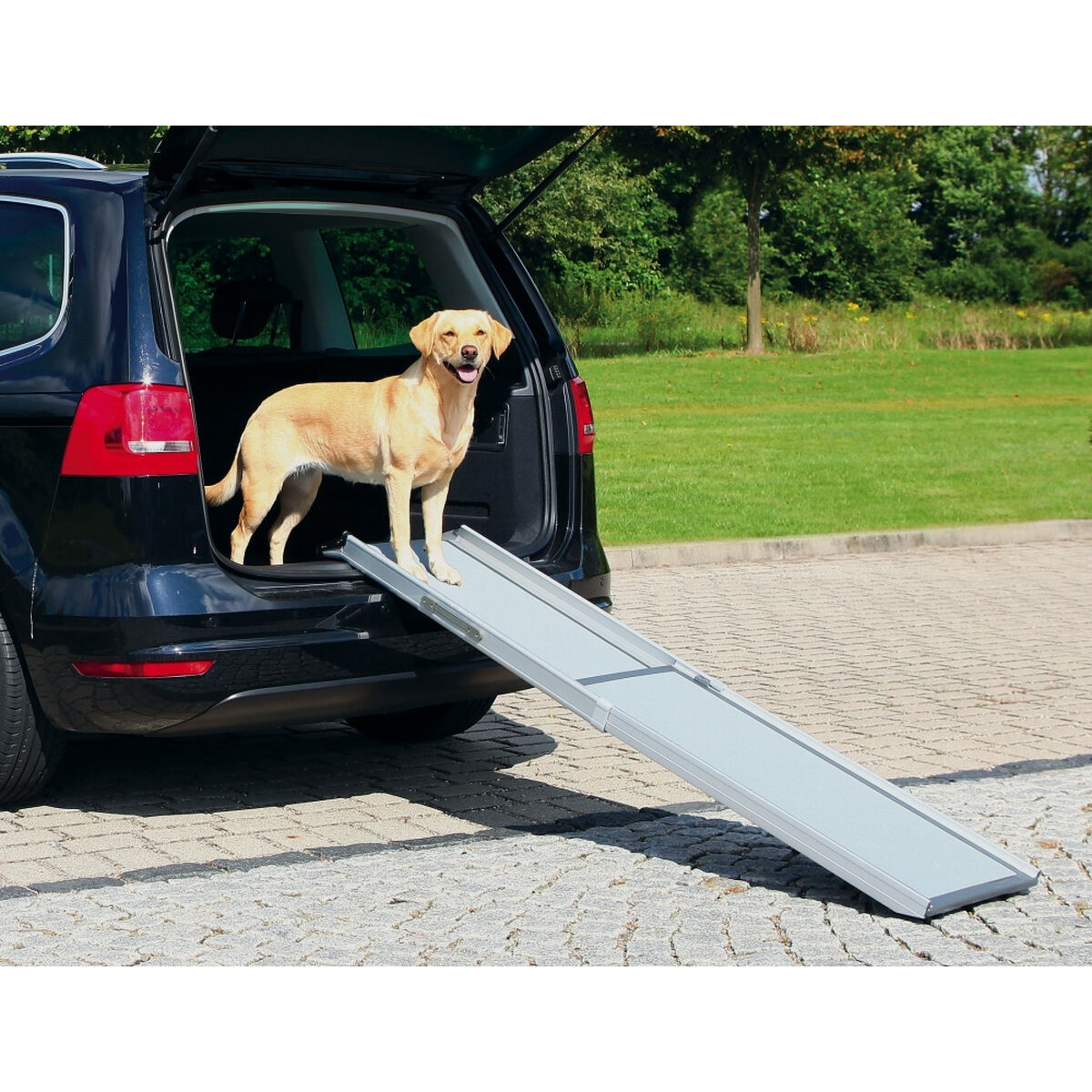 Bärbar ramp Trixie T3940 Grå Aluminium Plast 43 x 100/180 cm - 2