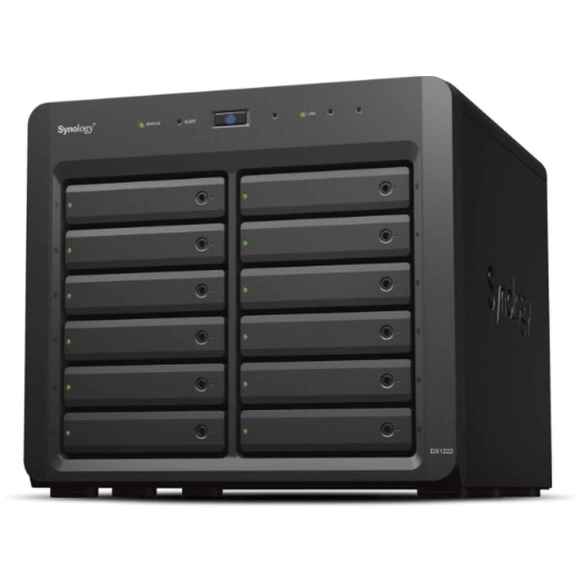 Nätlagringsenhet NAS Synology DX1222 Svart