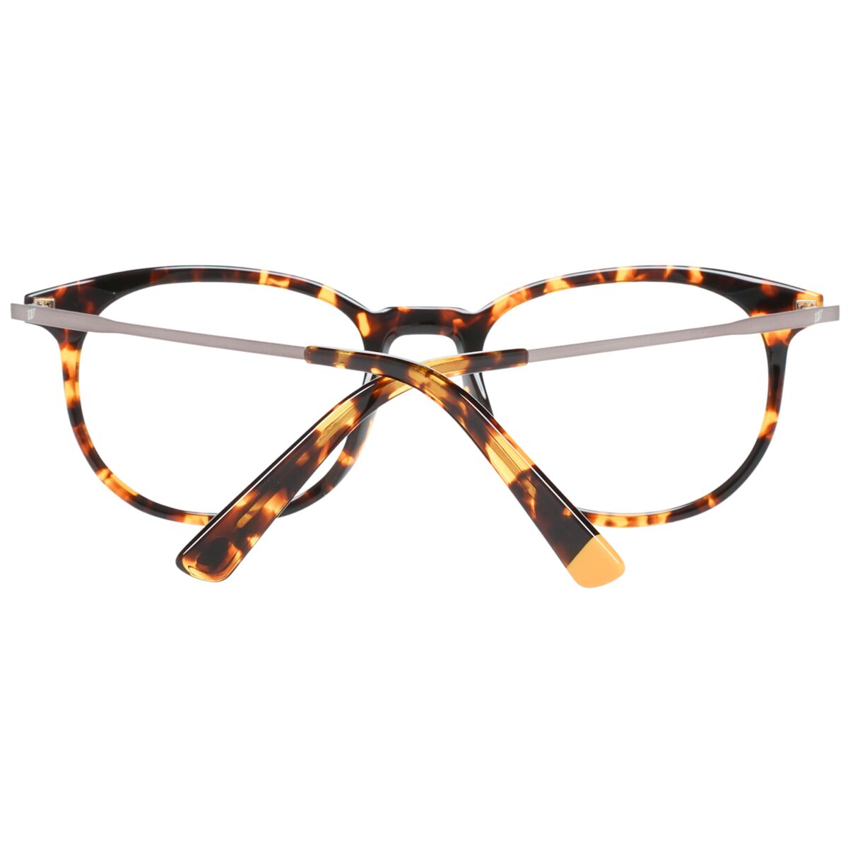 Glasögonbågar WEB EYEWEAR WE5246 52053 - 3