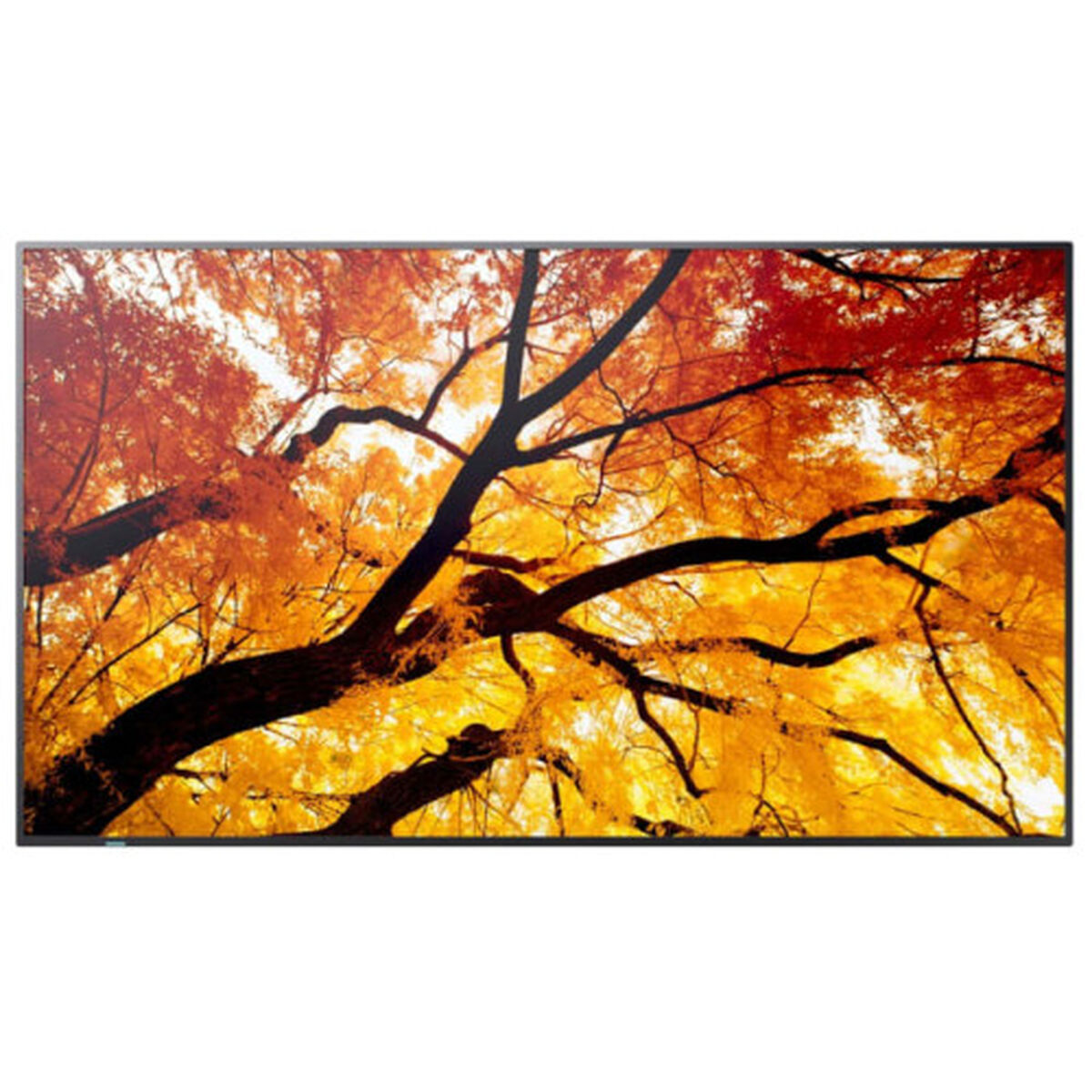 Videovägg Monitor Sharp 60006057 4K Ultra HD 74,5"
