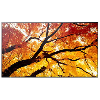 Videovägg Monitor Sharp 60006057 4K Ultra HD 74,5"