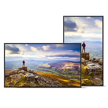 Videovägg Monitor Sharp 60006181 4K Ultra HD 43"