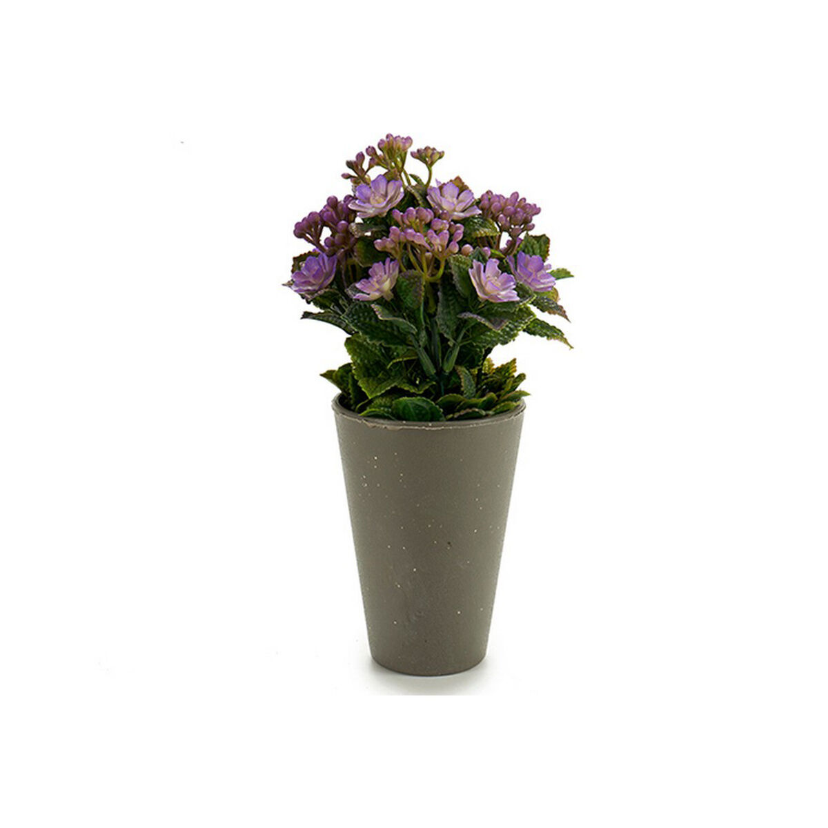 Dekorativ växt Ibergarden Plast 11 x 22 x 11 cm