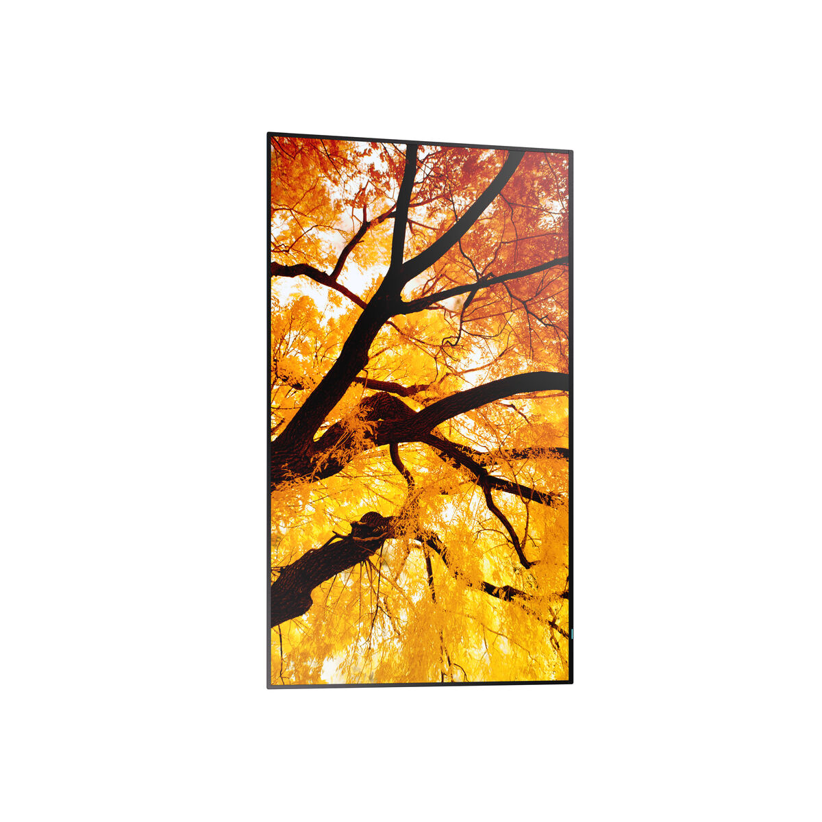Videovägg Monitor Sharp 60006052 Full HD 32"