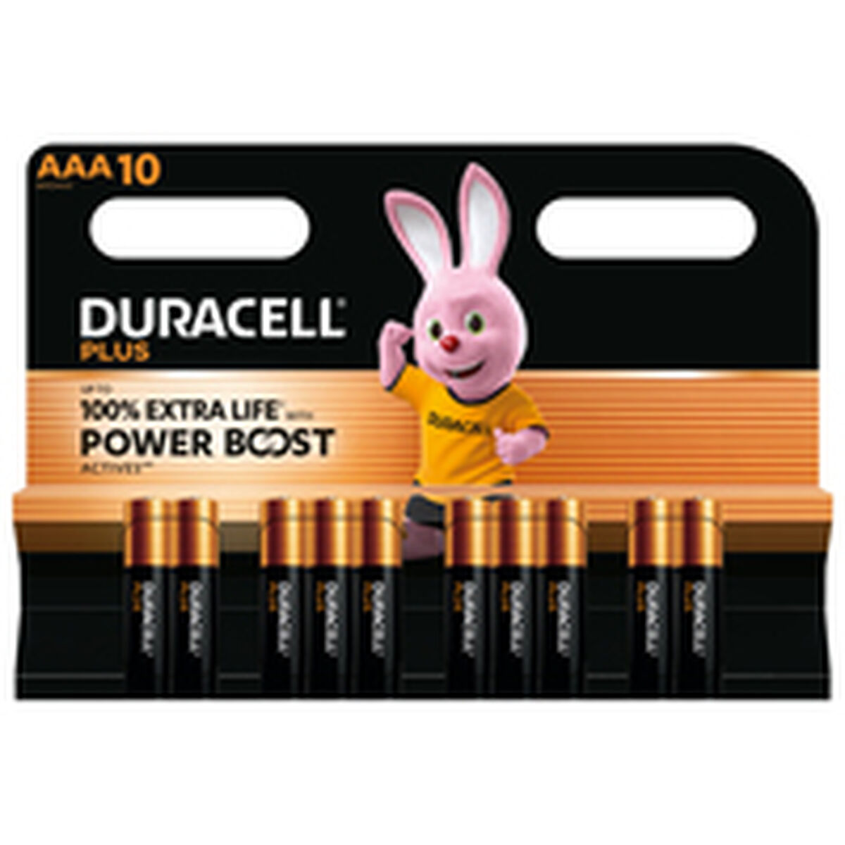 Laddningsbara Batterier DURACELL DPBLR3B10 1,5 V AAA - 2