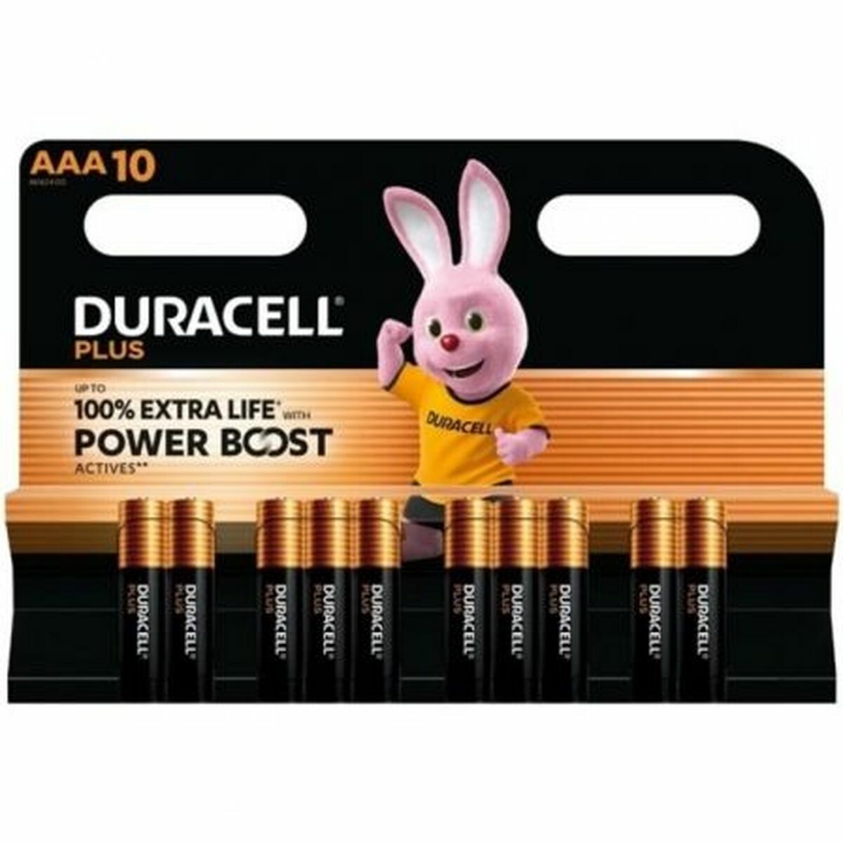 Laddningsbara Batterier DURACELL DPBLR3B10 1,5 V AAA