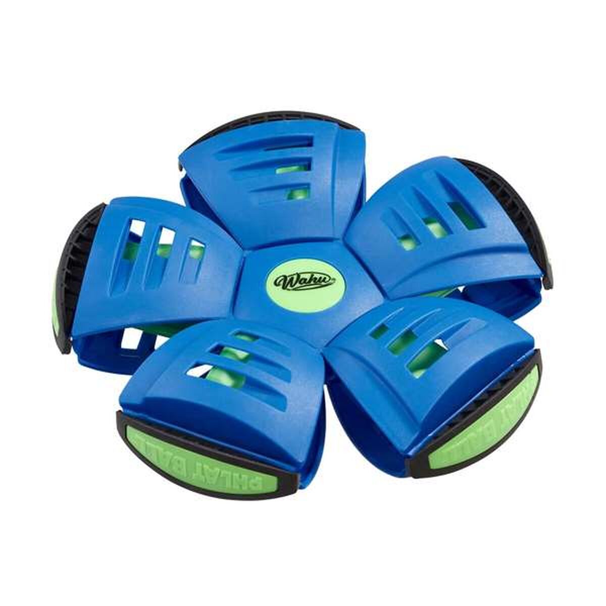 Frisbee Bizak - 2