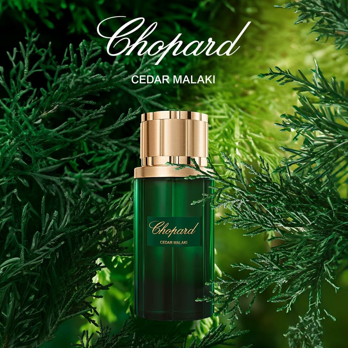 Parfym Damer Chopard EDP - 2