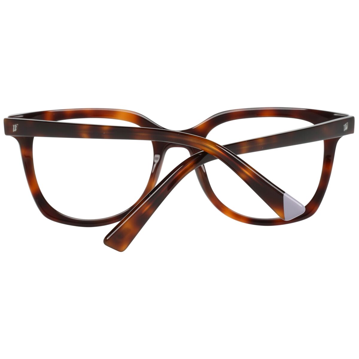 Glasögonbågar WEB EYEWEAR WE5260 49052 - 3