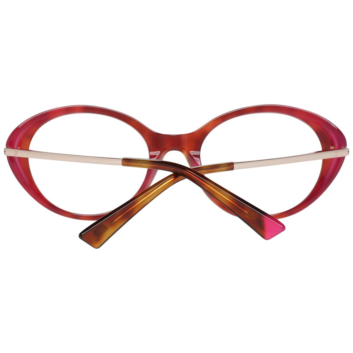 Glasögonbågar WEB EYEWEAR WE5302 5156B - 3