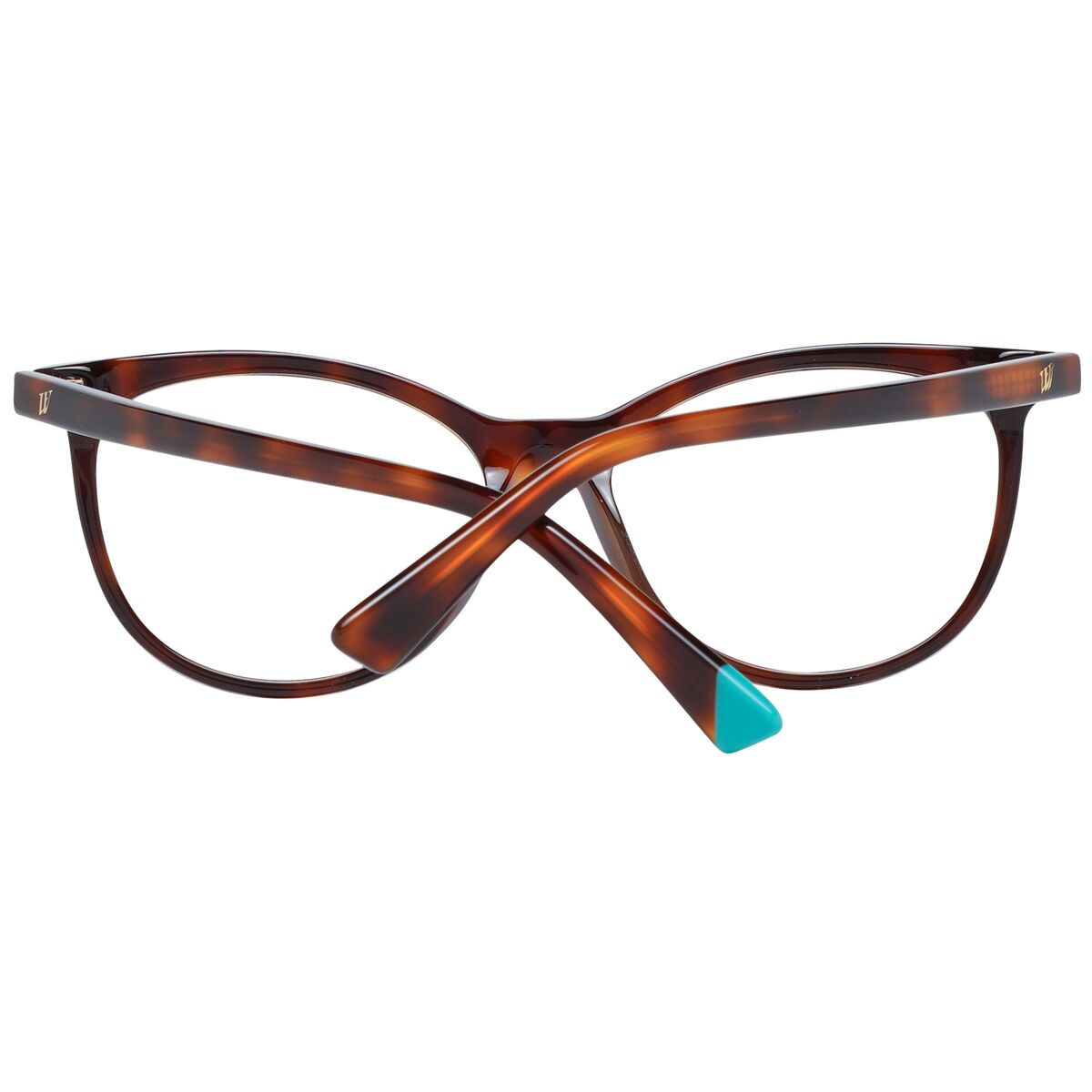 Glasögonbågar WEB EYEWEAR WE5342 53056 - 3