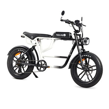 Elcykel Youin BK7000 MIAMI 250 W 20"