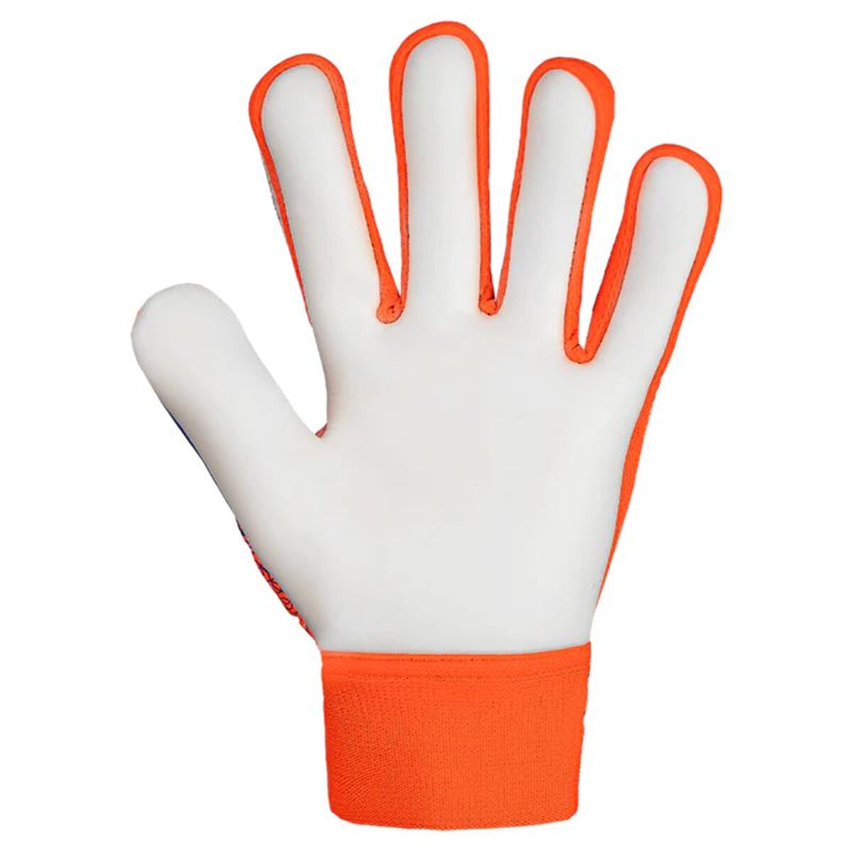 Målvaktshandskar Reusch Attrakt Starter Blå Orange - 2