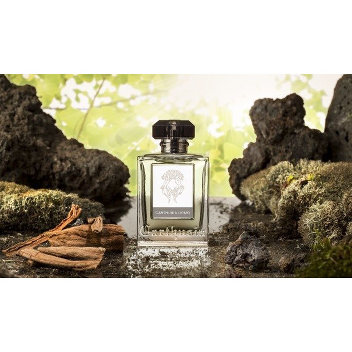Parfym Herrar Carthusia CARTHUSIA UOMO 100 ml