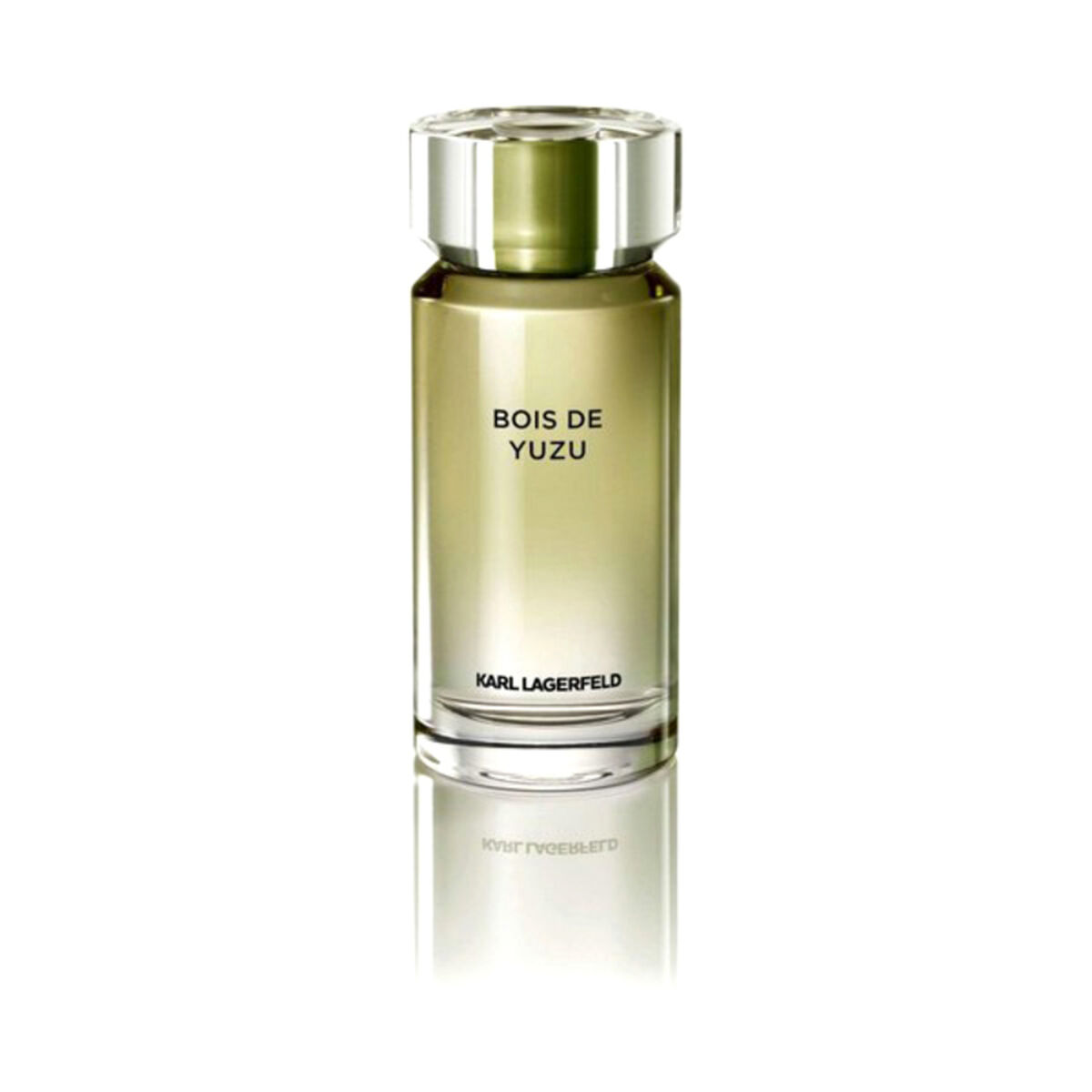 Parfym Herrar Lagerfeld KL008A03 EDT 100 ml