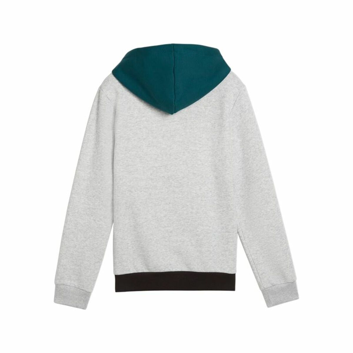 Tröja med huva Unisex Puma Essentials Block - 2