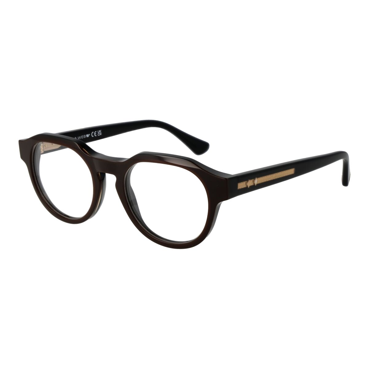 Glasögonbågar Web Eyewear WE5421 49050