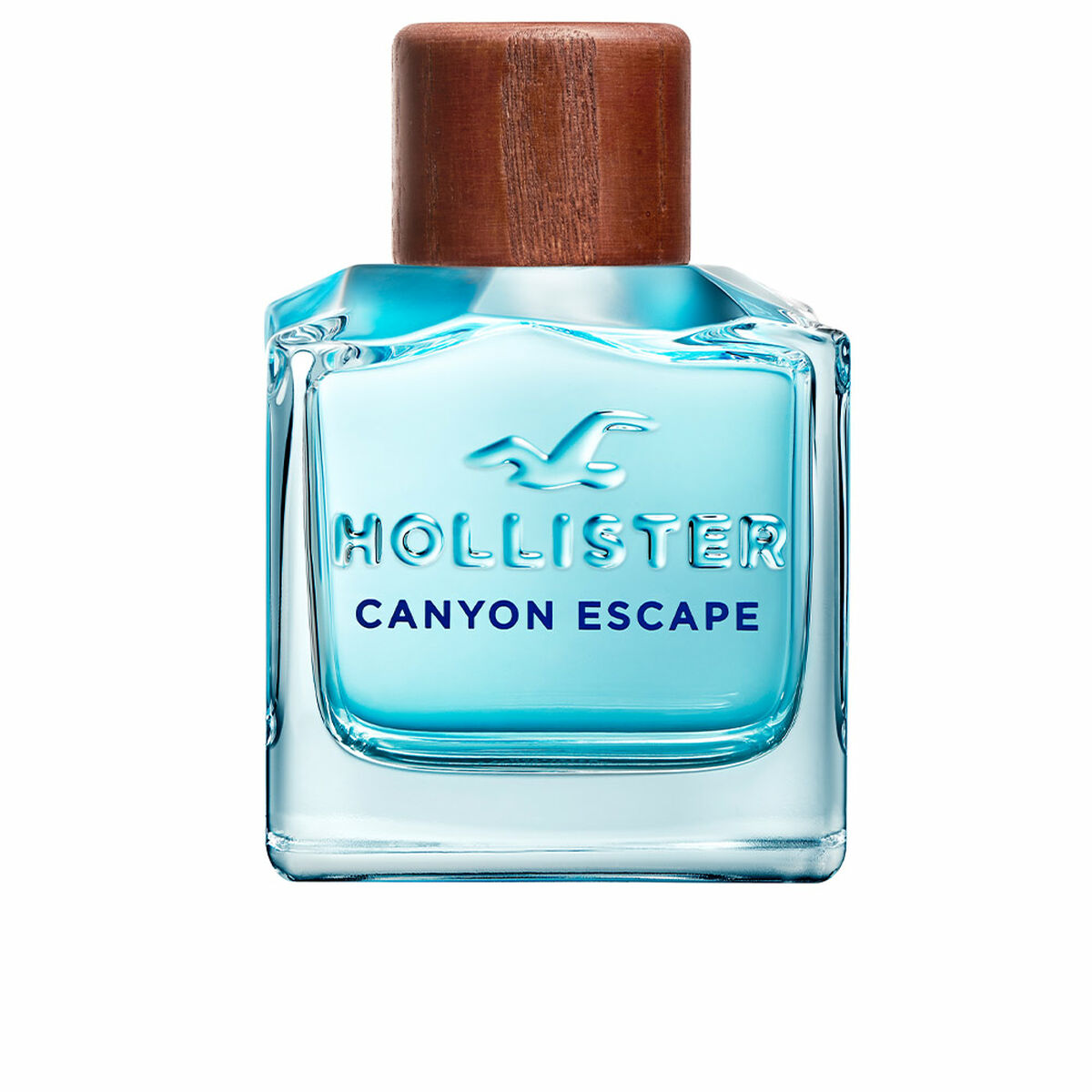 Parfym Herrar Hollister EDT 50 ml 100 ml