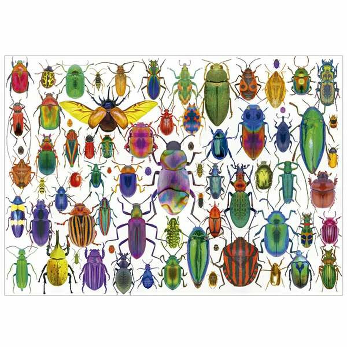 Pussel Educa Beetles - 3