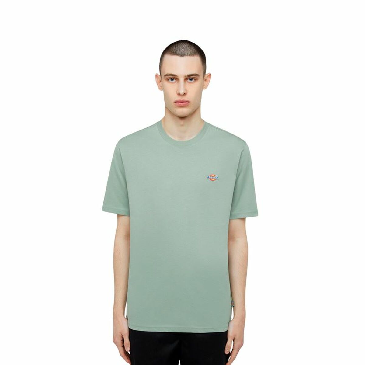 T-shirt med kortärm Herr Dickies Ss Mapleton Tee Grön