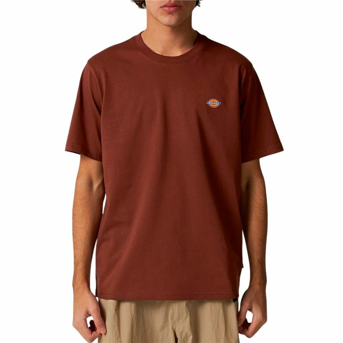 T-shirt med kortärm Herr Dickies Ss Mapleton Tee - 2