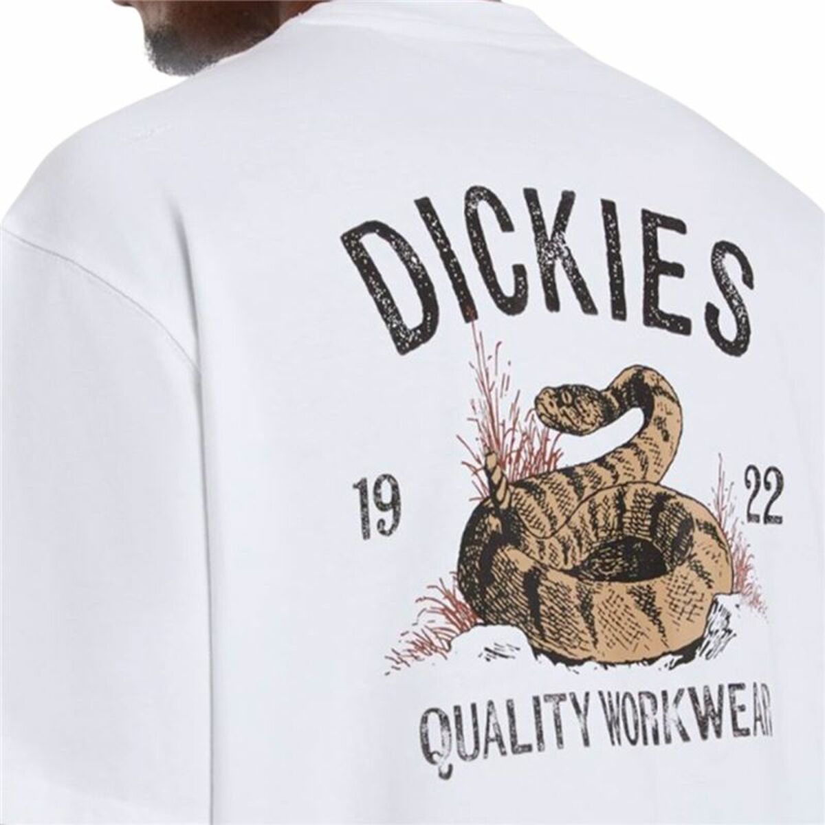T-shirt med kortärm Herr Dickies Dickies Snake Ss Tee Vit - 2