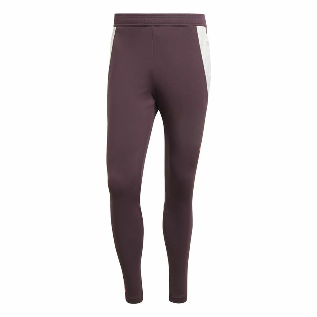 Långa träningsbyxor Adidas Fc Bayern 24/25 Tiro24 Brun Rödbrun Män - 2