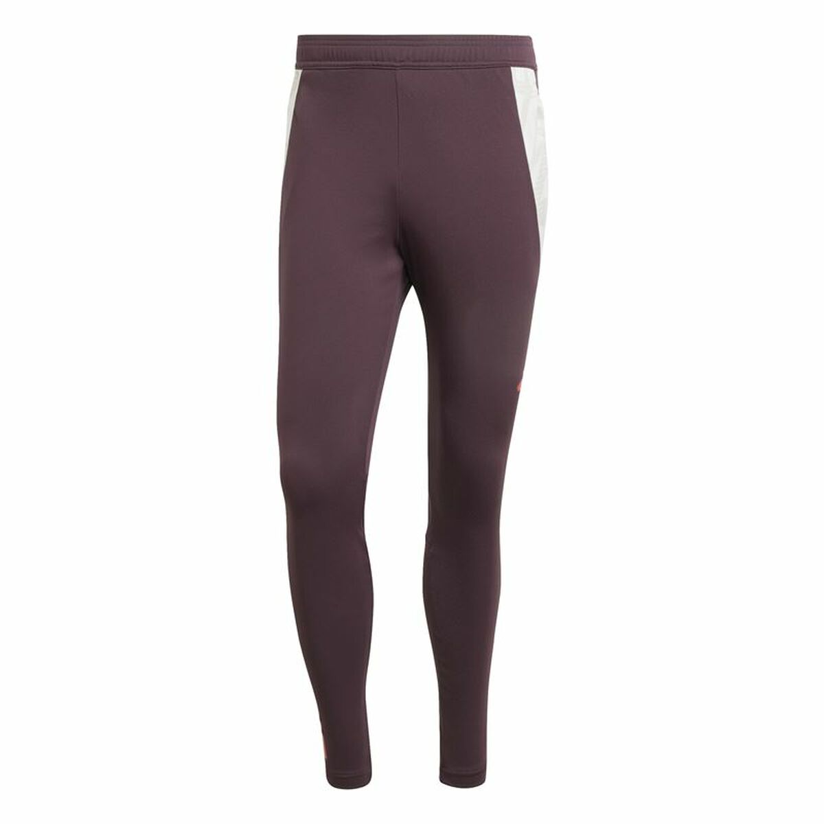 Långa träningsbyxor Adidas Fc Bayern 24/25 Tiro24 Brun Rödbrun Män