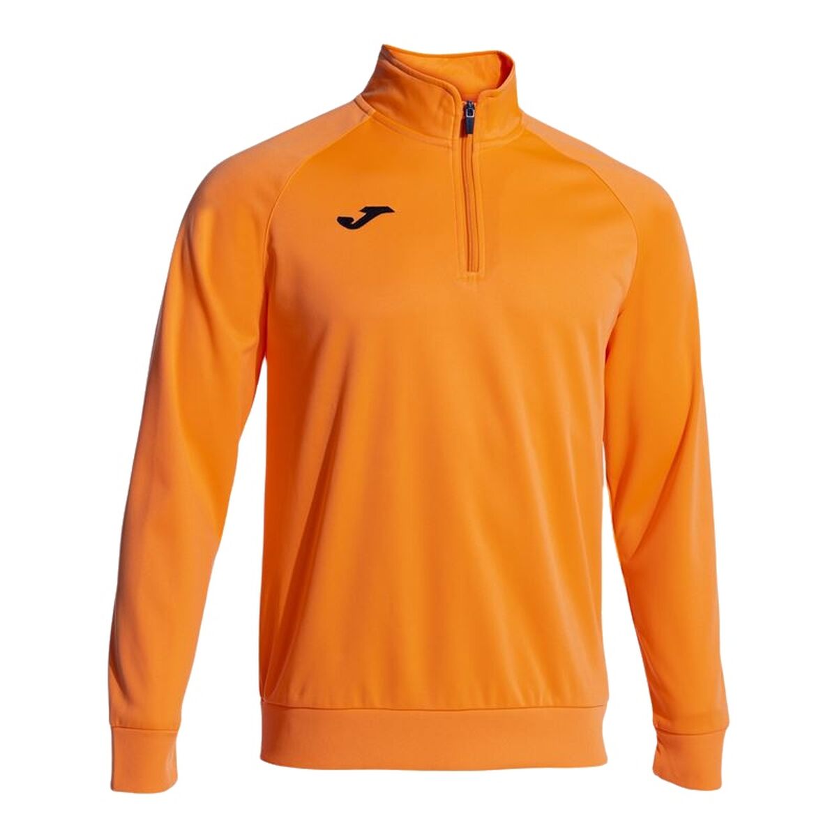 Tröja utan huva Herr Joma Sport Faraon