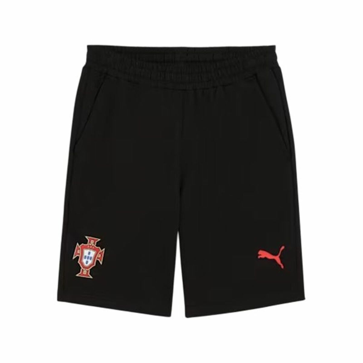 Träningsshorts Puma Fpf Ftblnrgy
