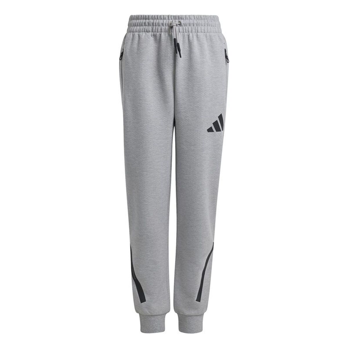 Långa träningsbyxor Adidas Z.N.E. Grå