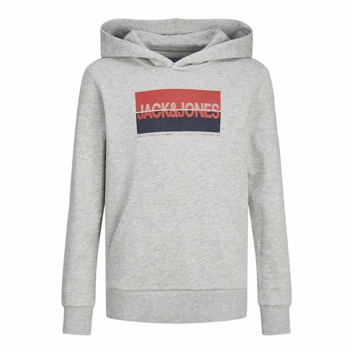 Tröja med huva Herr Jack & Jones Jjnolan Grå