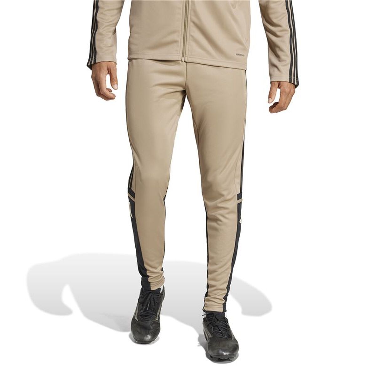 Fotbollsträningsbyxor, Vuxen Adidas Squadra25 Tr - 2