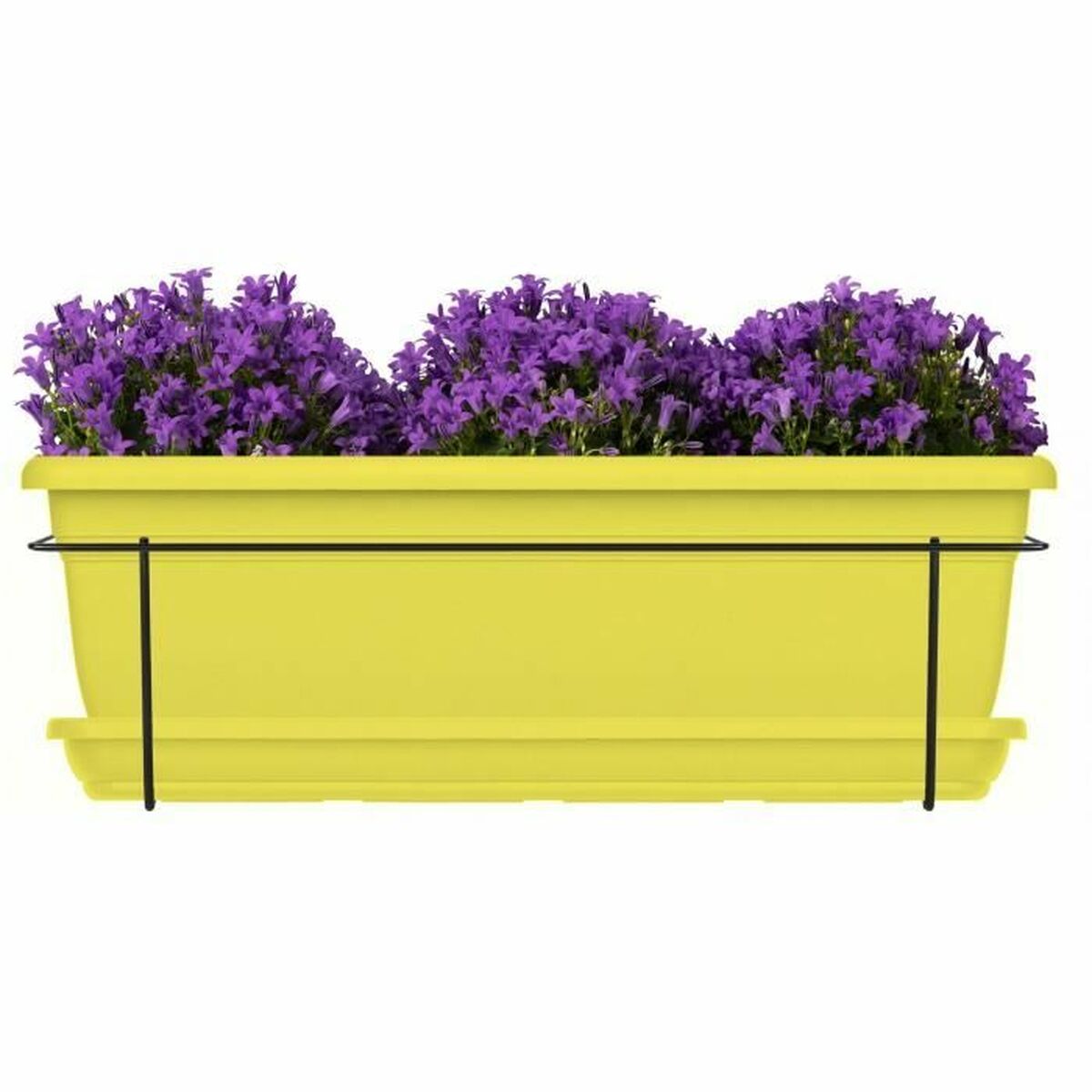 Blomlåda Garden ID Lime 50 cm