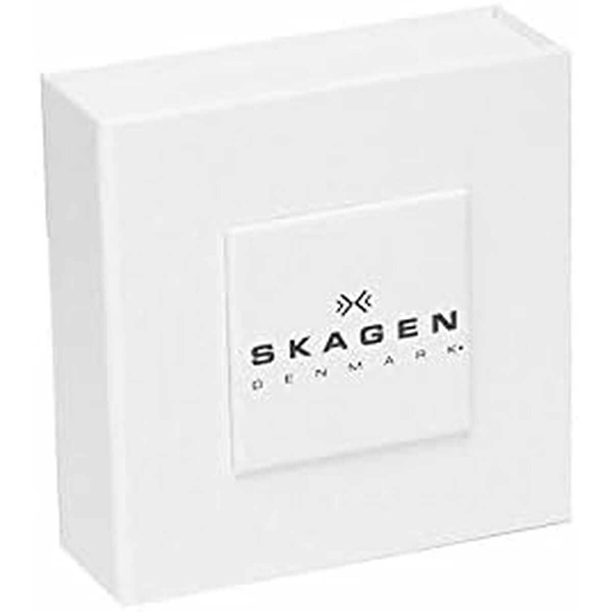 Damarmband Skagen SKJ1591998 - 3