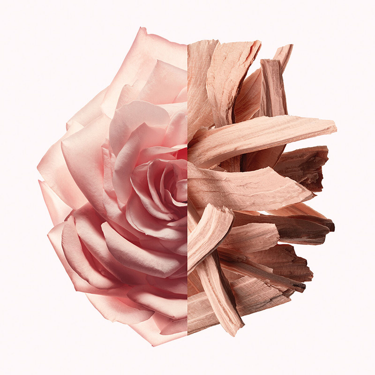 Parfym Damer Givenchy IRRESISTIBLE NUDE VELVET EDP 80 ml - 2