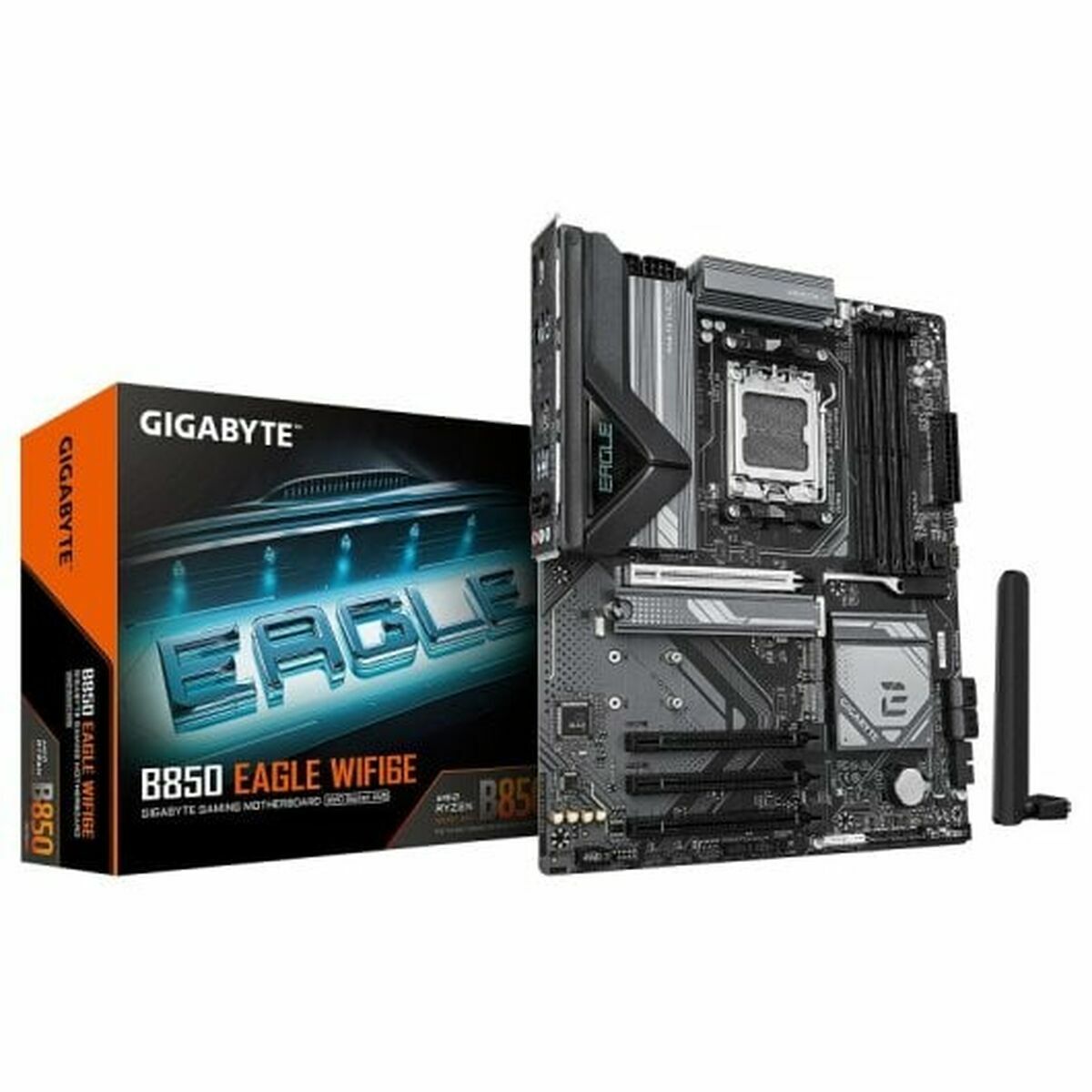 Moderkort Gigabyte AMD AMD AM5