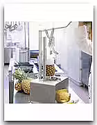 Ananas skalare