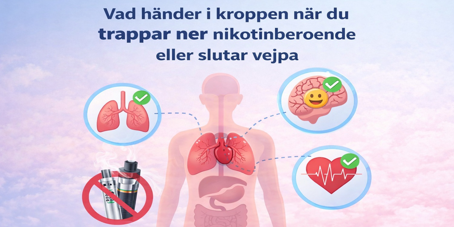 bild ilustration som visar vad händer i kroppen när du trappar ner nikotinberoende