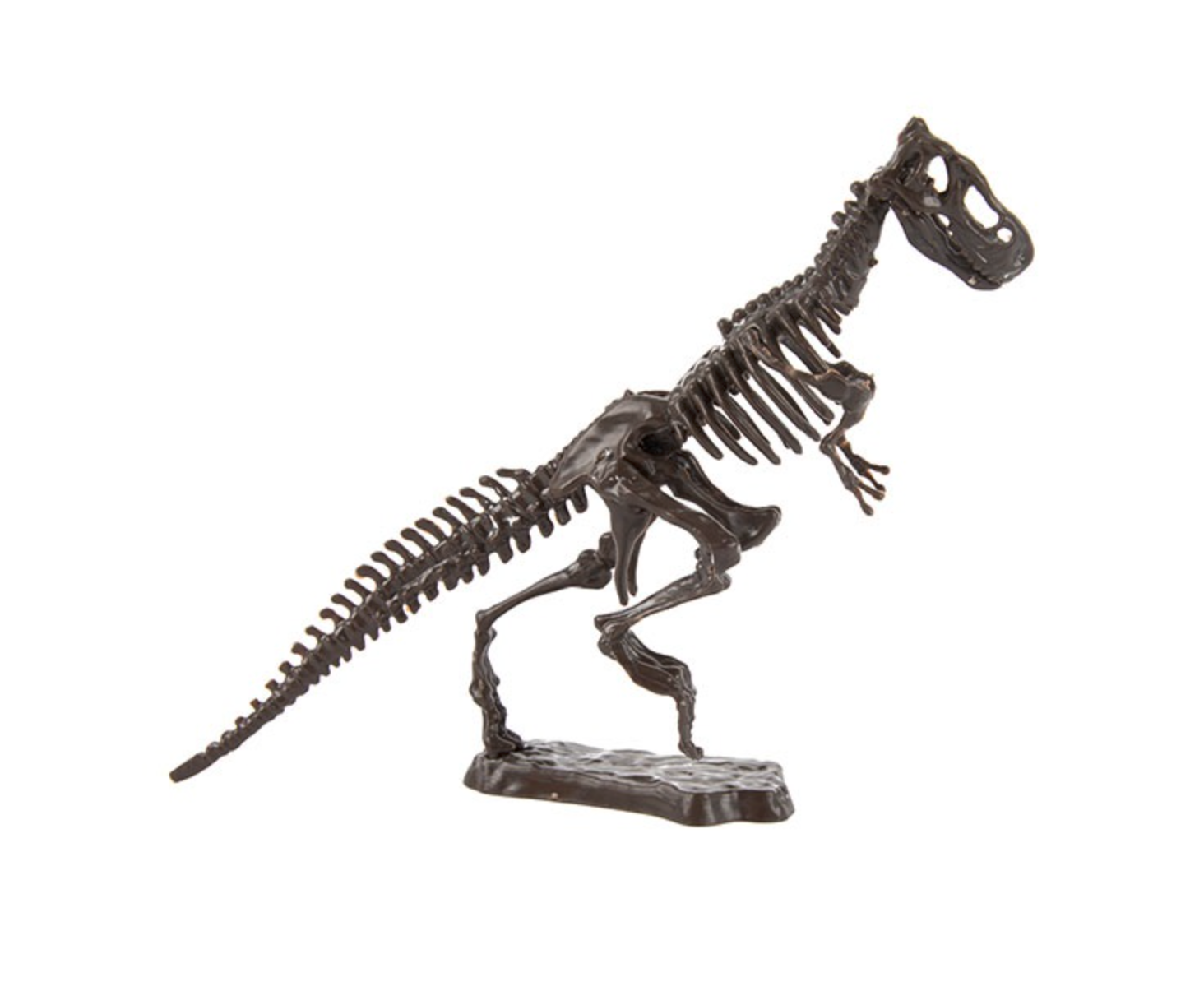 Utgrävning fossiler - 6