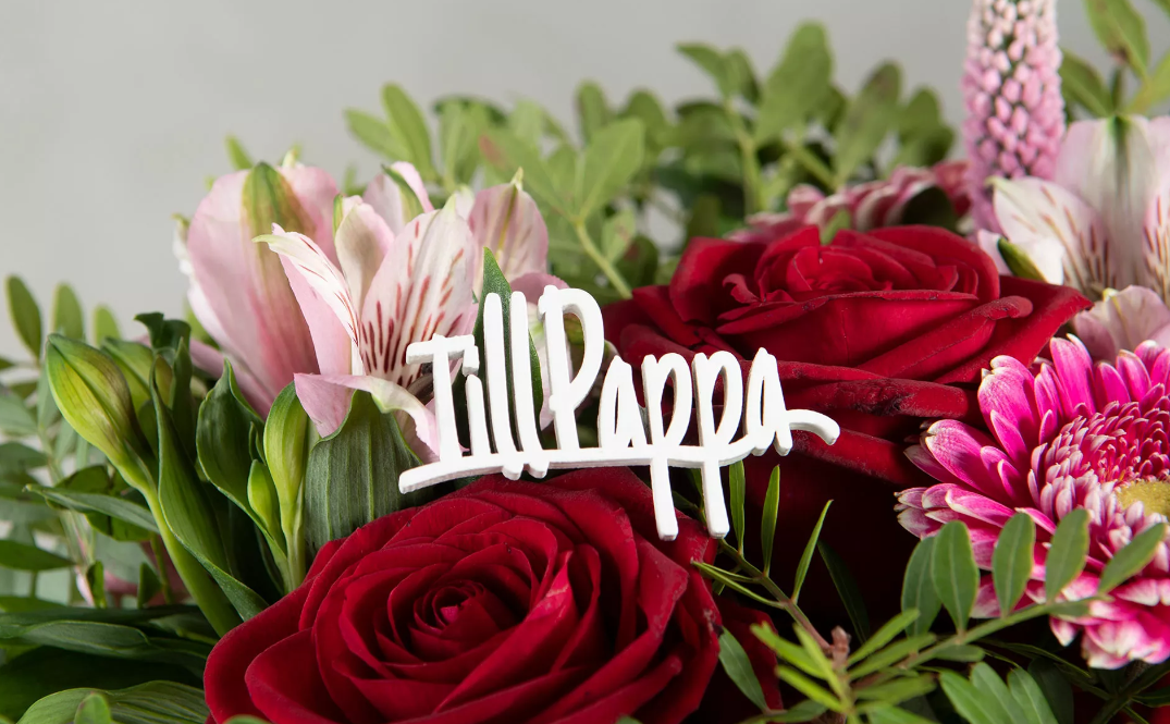 Till Pappa Stick Vit - 2