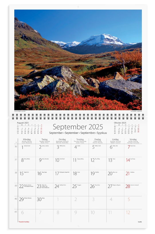 Väggkalender 2025 Sweden med kuvert - 3