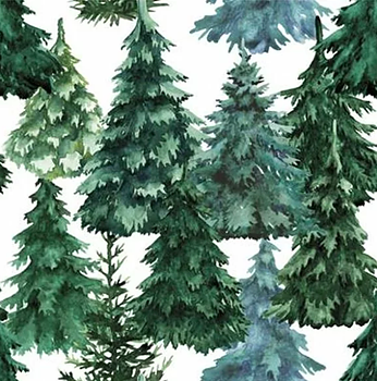 inicio Servetter Winter Forest